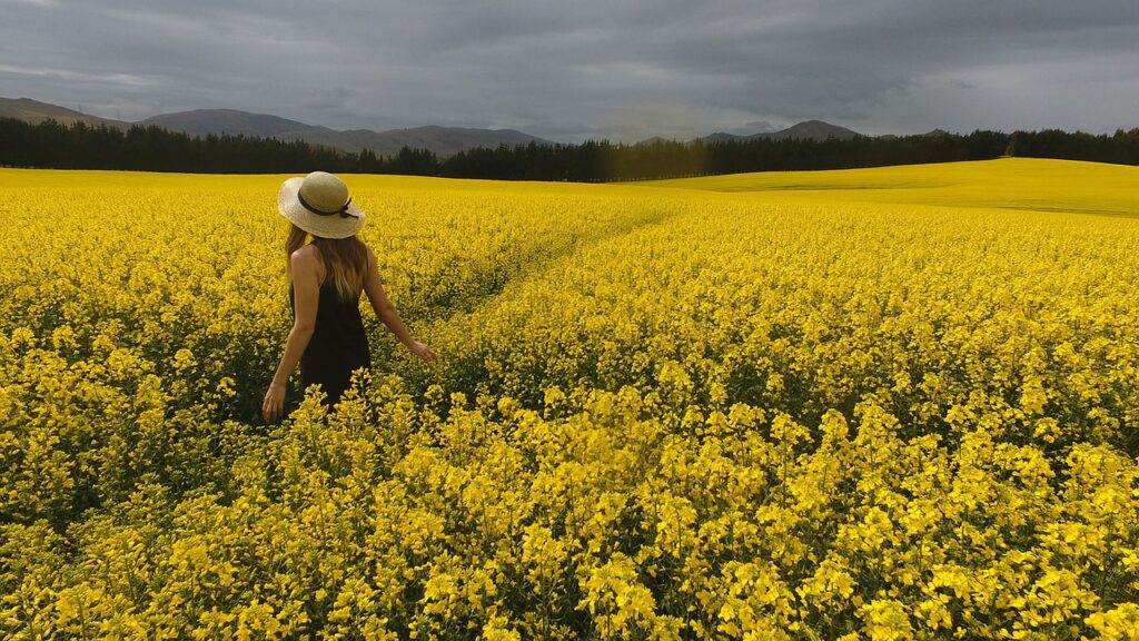 view, yellow,sky